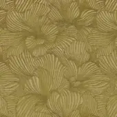 Apparat - Olive